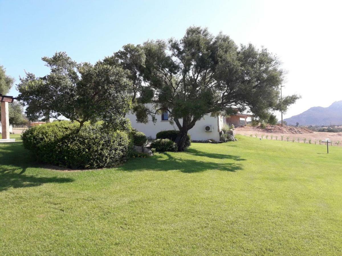 B&B Majore Olbia Extérieur photo