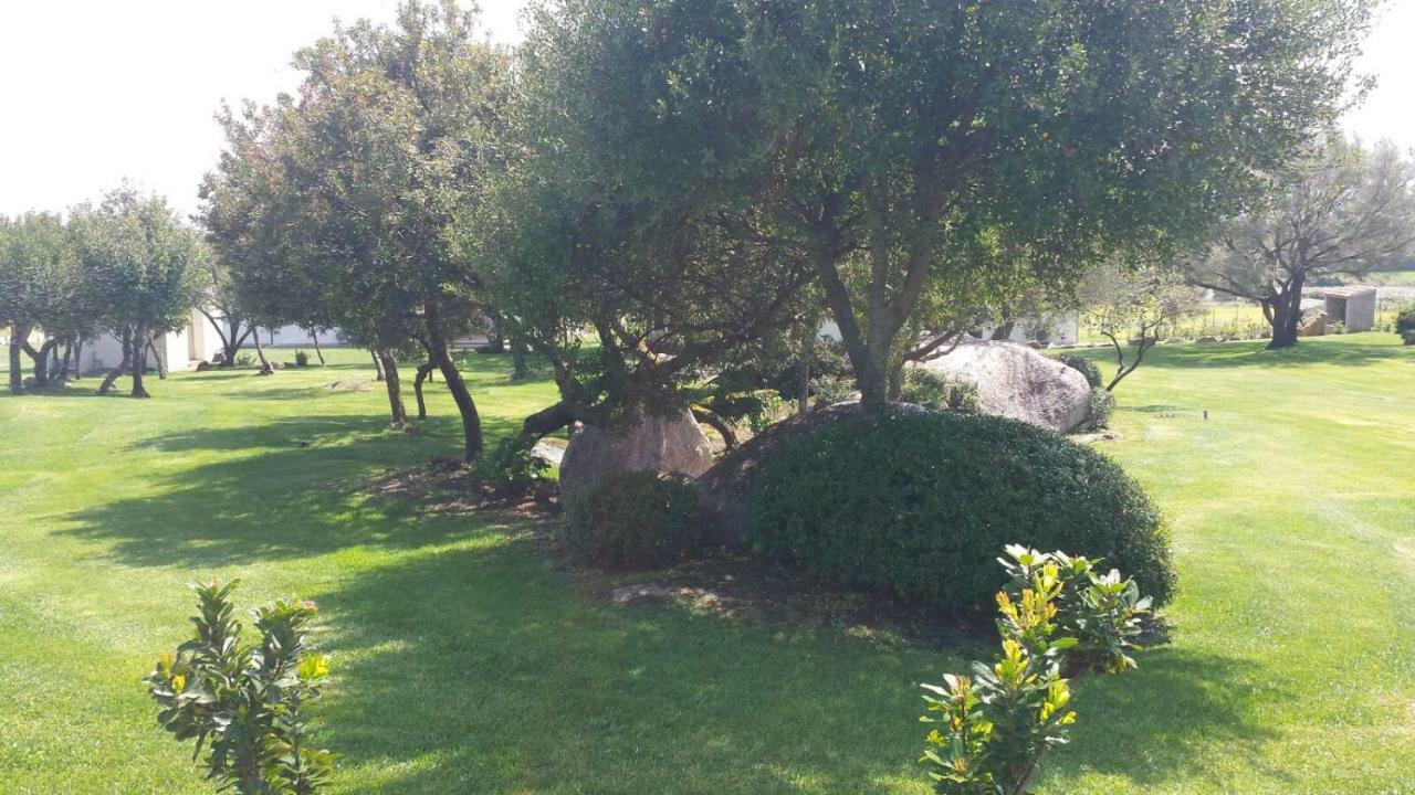 B&B Majore Olbia Extérieur photo