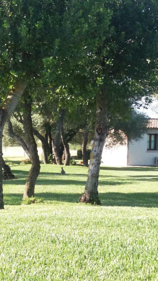 B&B Majore Olbia Extérieur photo