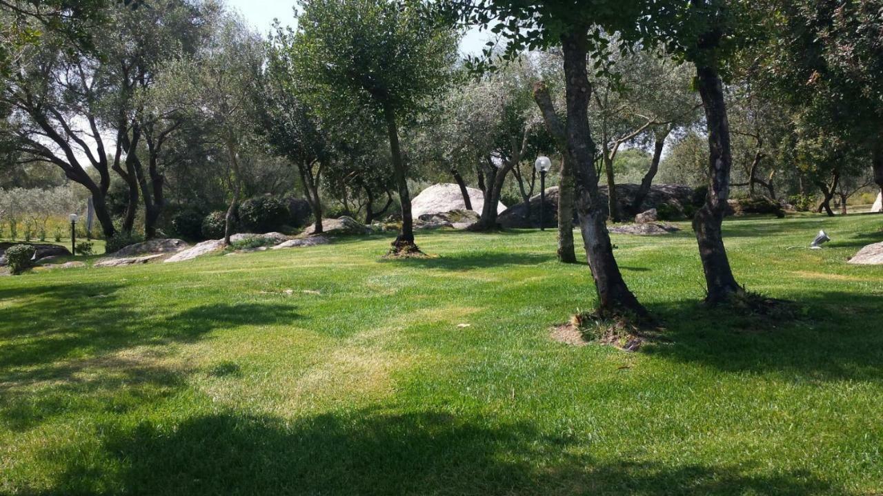 B&B Majore Olbia Extérieur photo